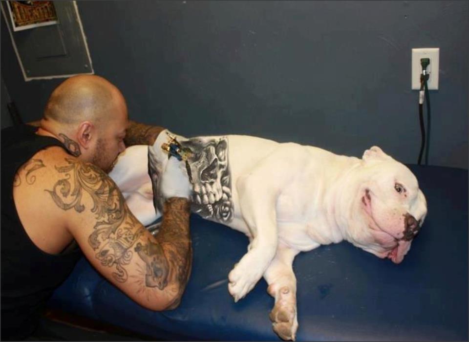 Tatuajes en perros y otros animales ¿maltrato animal?