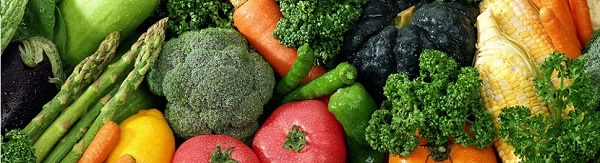 Las verduras y hortalizas que puede comer tu perro