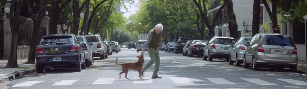 Vídeo "El hombre y el perro"