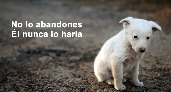 Campaña concienciación contra el abandono de mascotas