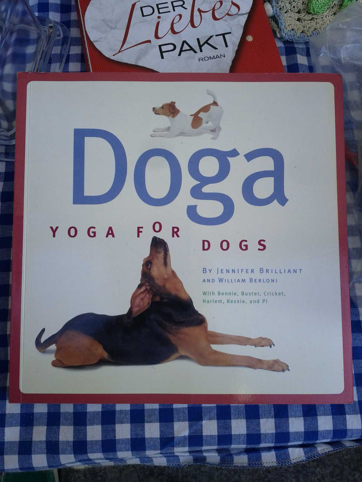 Doga, el yoga para perros