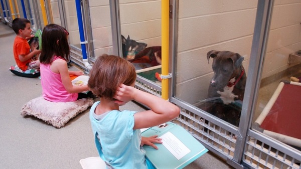 Niños leen cuentos a perros sin hogar
