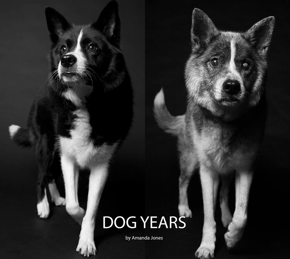 Amanda Jones y sus álbumes de fotos de perros