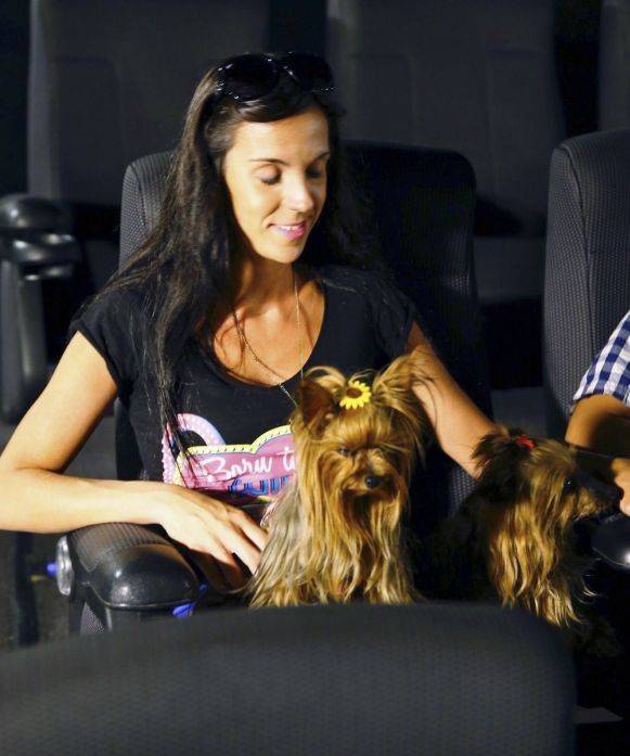 La "petfriendly": ¡35 perros ya han estado en el cine!
