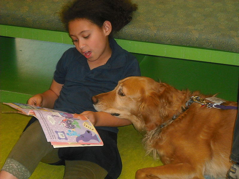 ¿Pueden los perros ayudar a los niños a leer?