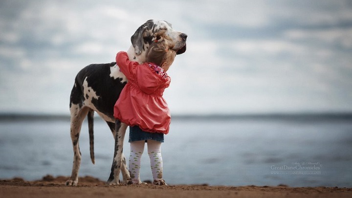 Fotografías de perros y niños enloquecen las redes