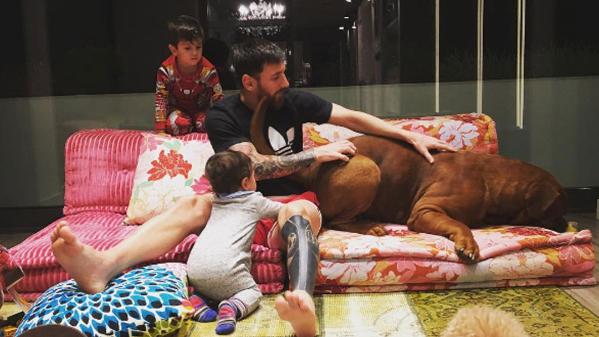 Messi enseña a Hulk, su gigante dogo burdeos