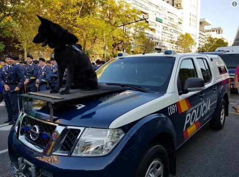 El perro policía de España se hace popular en redes sociales