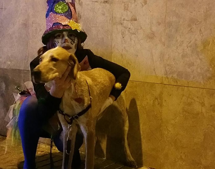Los perros de Sant Boi abrirán la cabalgata de Reyes