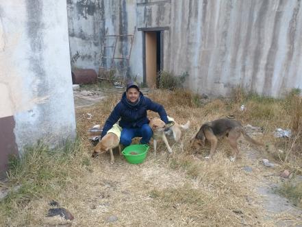 Hombre de Tlaxcala ayuda a 100 perros callejeros